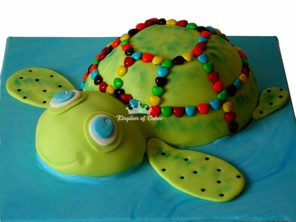Fun Turtle